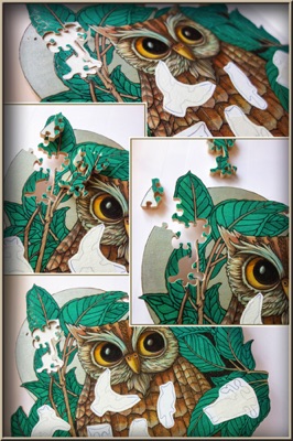 Owl Puzzle WIP - 09